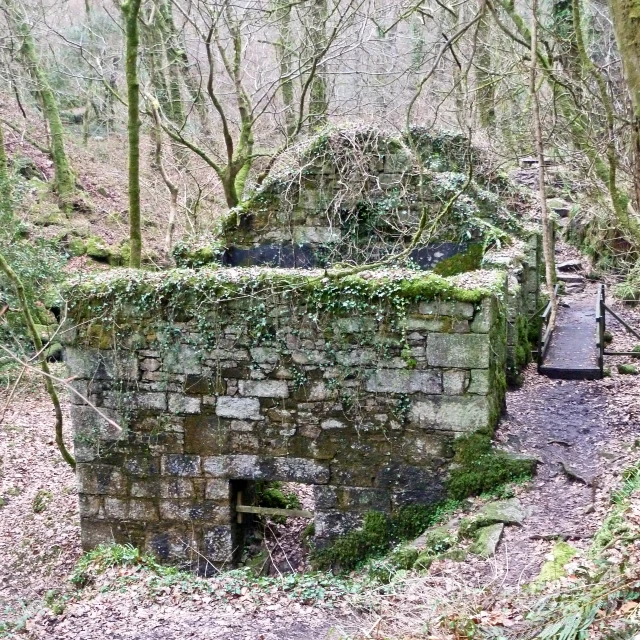 an old, crumbling structure stands among moss covered trees