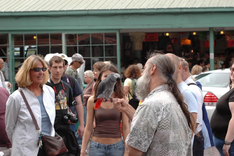 people stand around and look at a bird that is perched on its finger