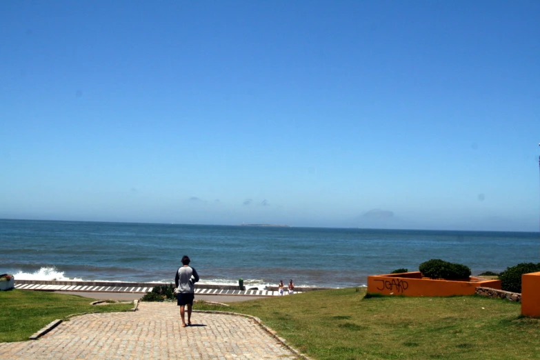 a person standing on the grass next to the water