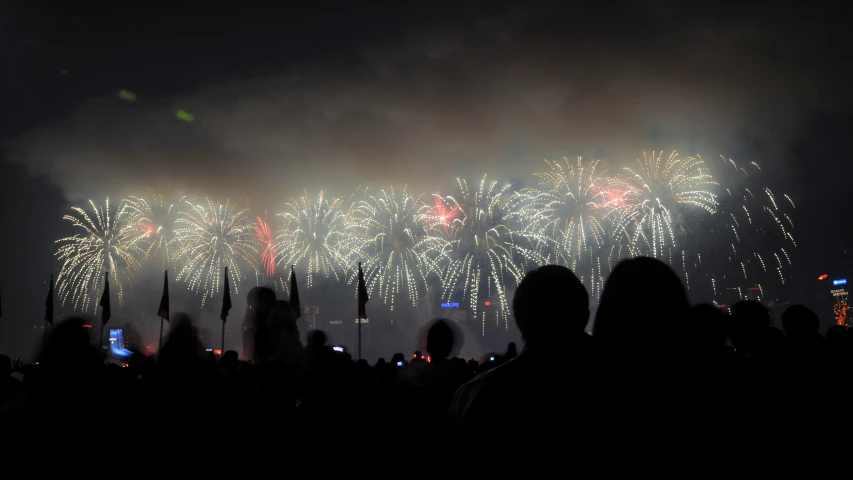 a large group of people watching fireworks