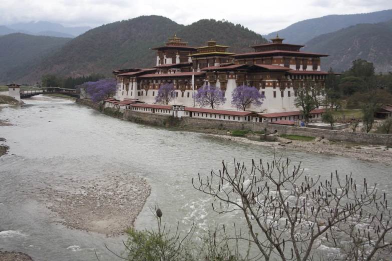 a white building next to a river with purple flowers growing along the side