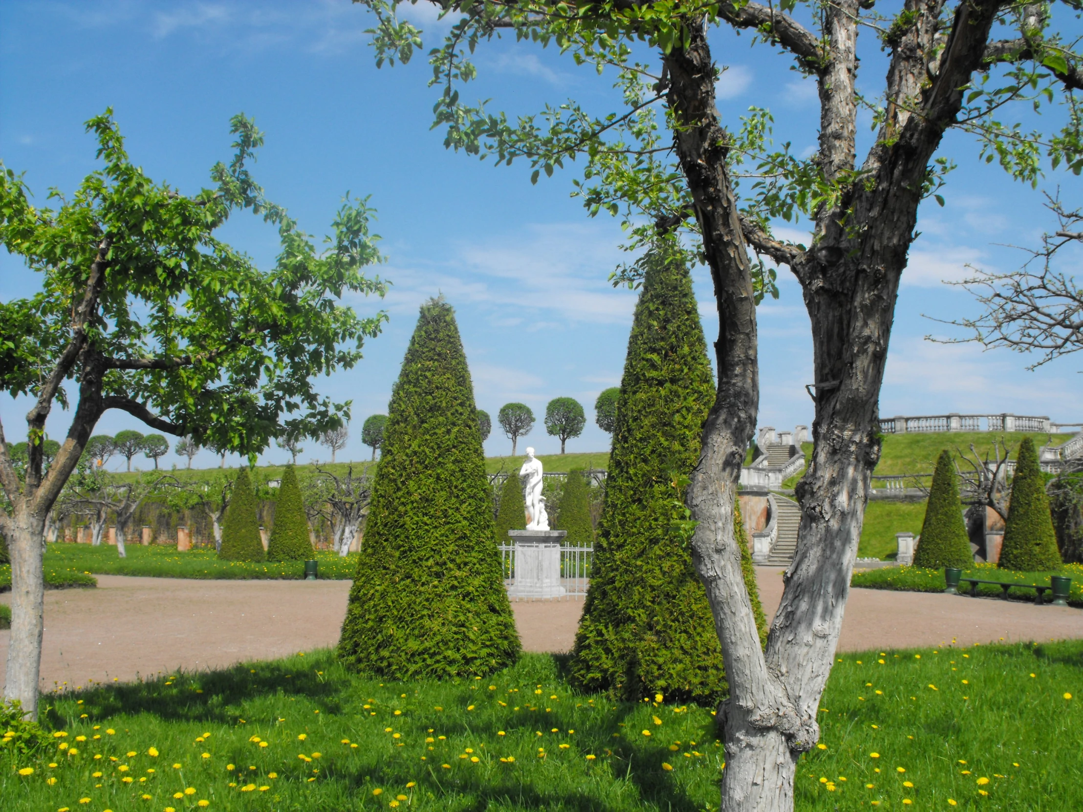 topiary hedges, statues and trees in a park