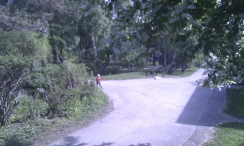 this is an image of a person riding a bicycle on a path