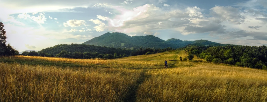 a field with some grass and a few people in it