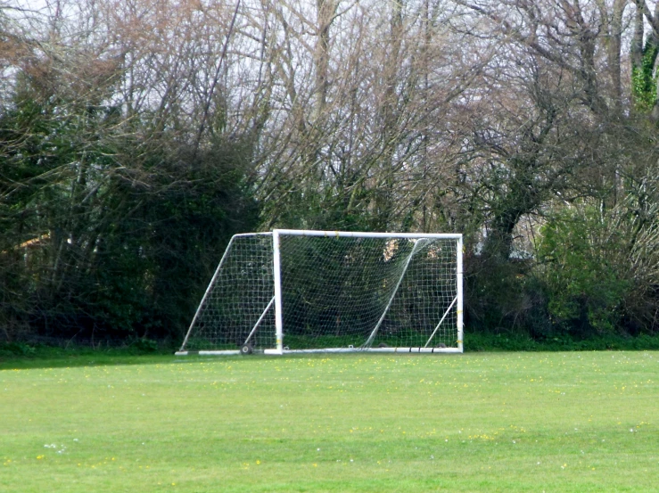 the soccer ball is on the grassy field near the goal