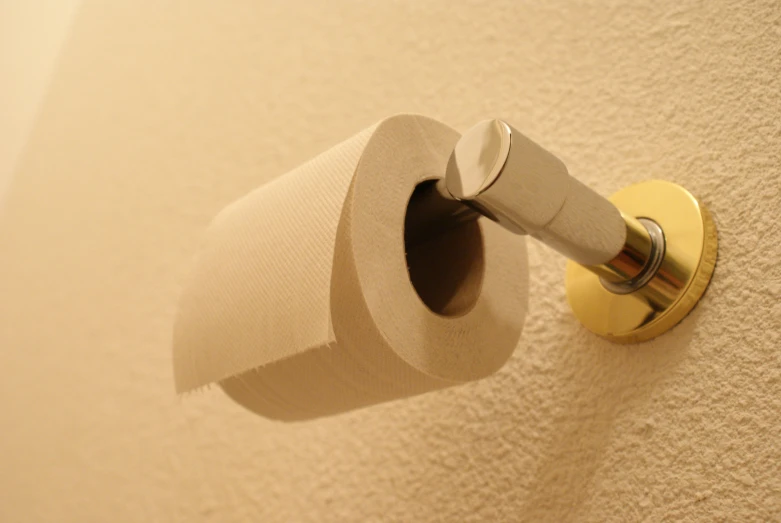 a rolled toilet paper in the middle of the roll