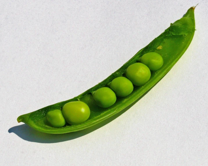 a green pea pod with seven pea pod seed