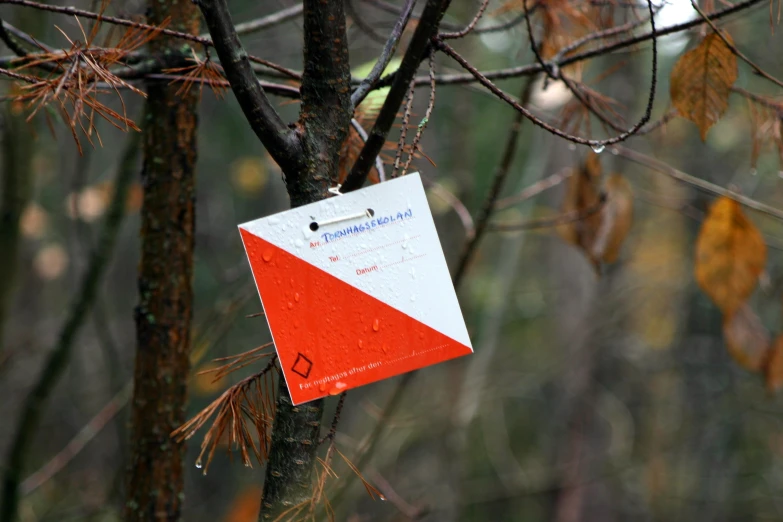 a sign that is attached to a tree