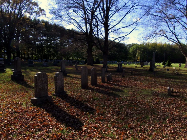 this is a cemetery with leaves on the ground