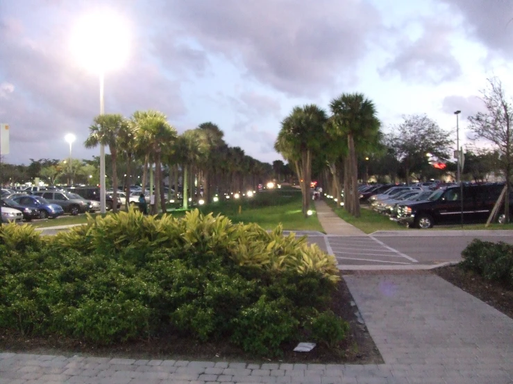 a parking lot with parking meters and cars in it