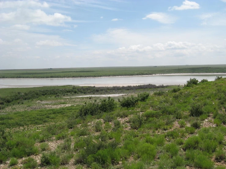 a grassy plain next to water with green shrubs