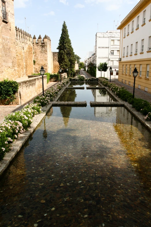 a large long pond with several flowers by it