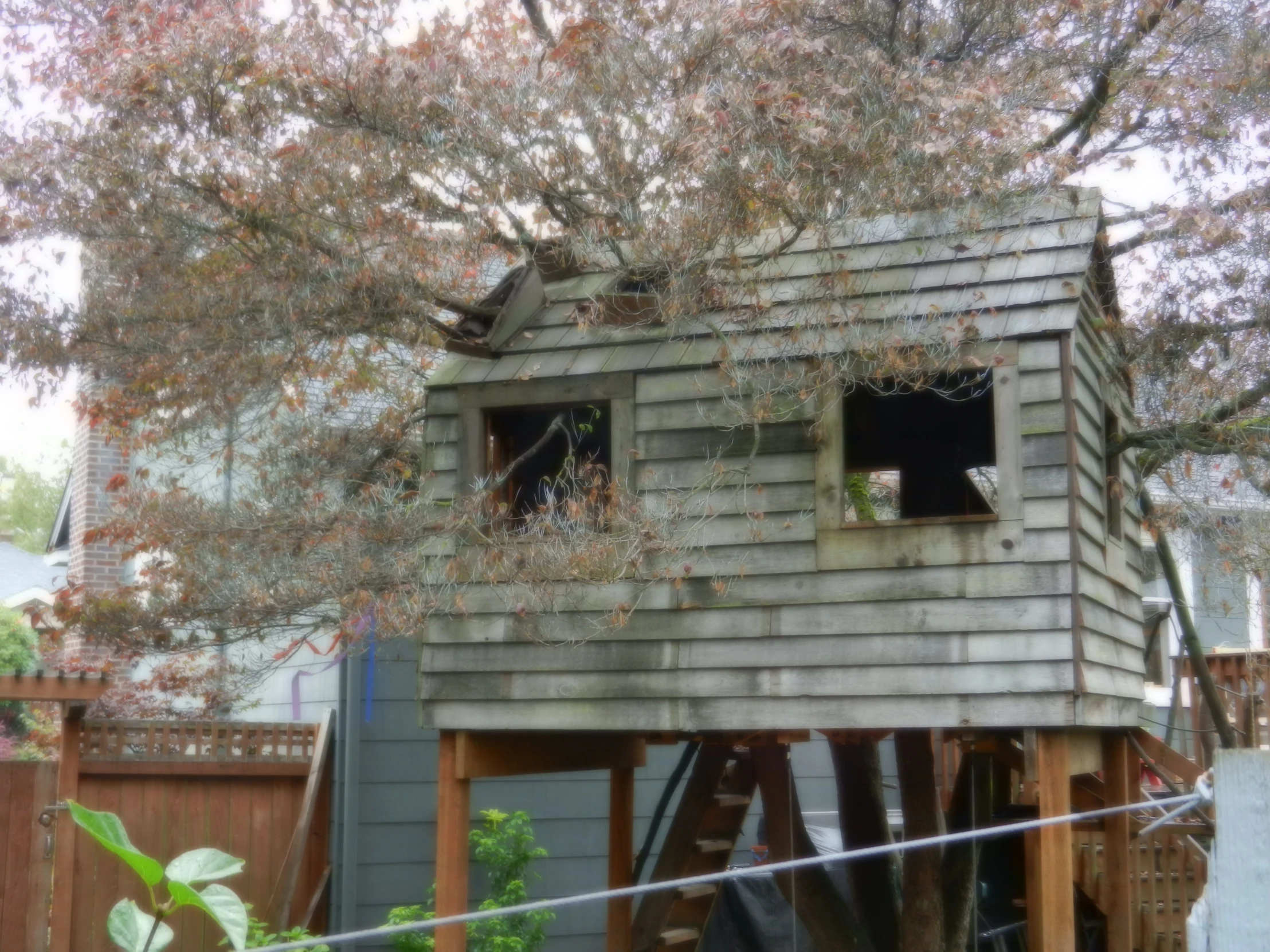 a wooden cabin in the middle of a backyard