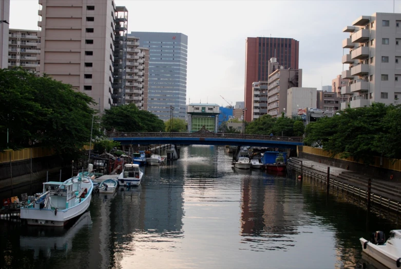 boats docked on a canal with a bridge over it