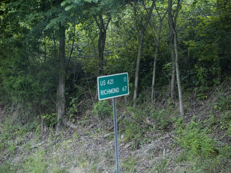 a green street sign next to the side of a dirt road