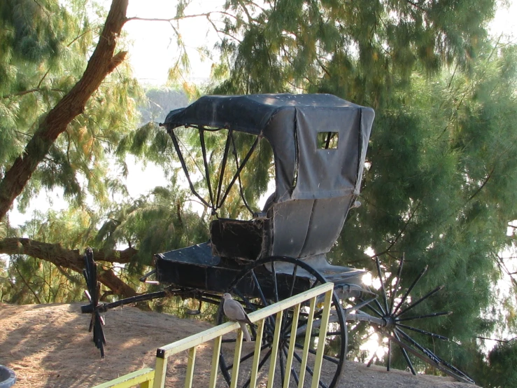 an old fashioned black buggy is set up on a steep slope near trees