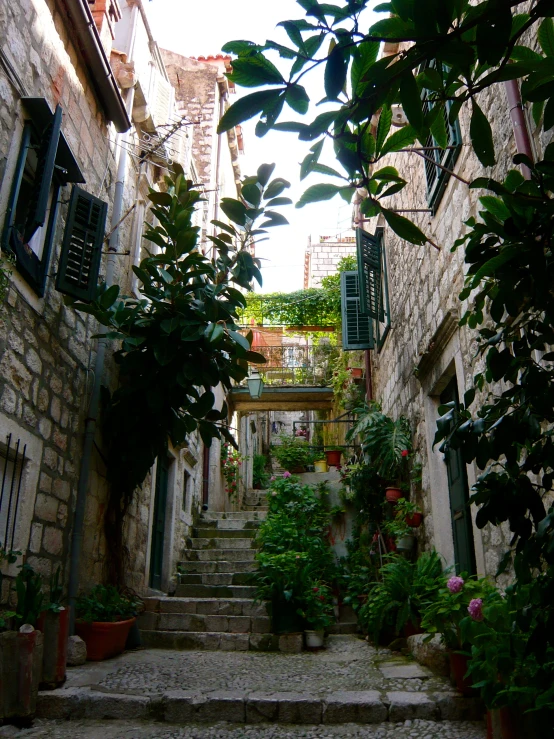 the old narrow street of a very small village