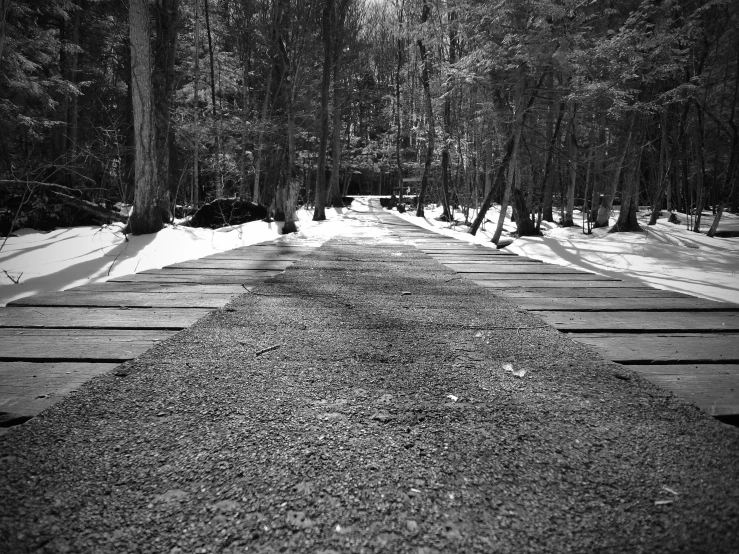 a road covered in snow with lots of trees