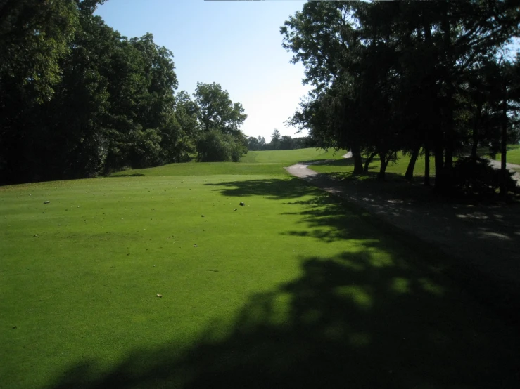 a lush green field with trees and a dirt path