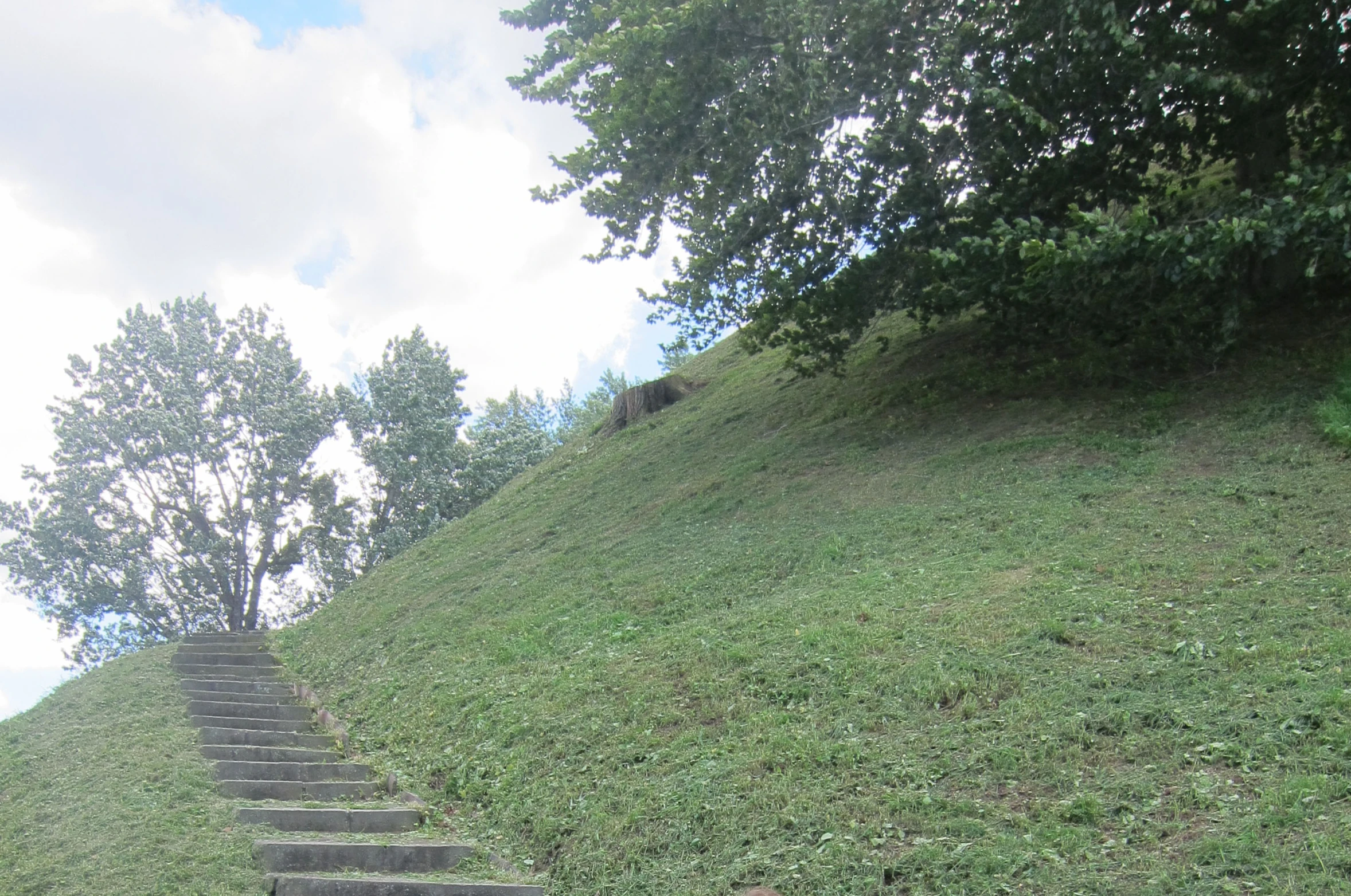 a staircase made of concrete leads up to a lush green hill