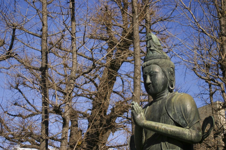 a statue of a seated buddha next to trees