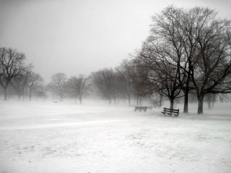 an empty park with trees and benches covered in snow