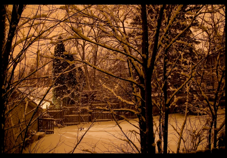 there is a clock tower in the distance as a path runs by