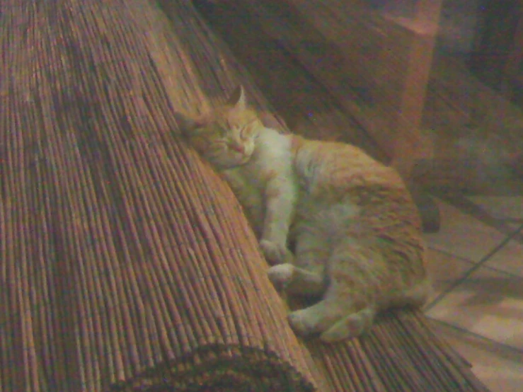 an orange cat laying in the corner of a wooden bench