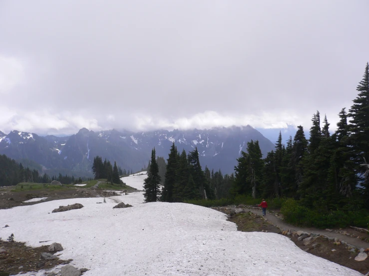 people hiking through snowy mountains in the woods