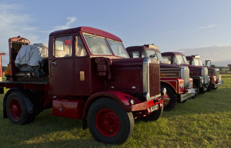 five old trucks are lined up in the grass