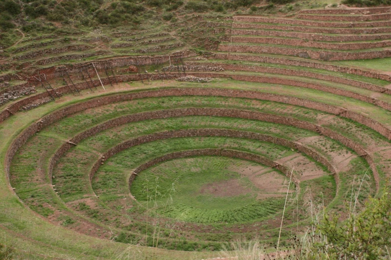 an open field with an circular circle shaped grass area