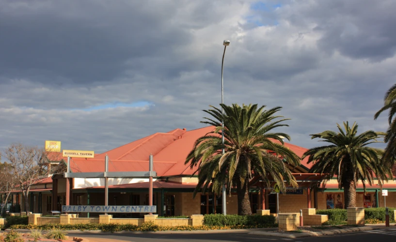 there is an image of a palm tree outside