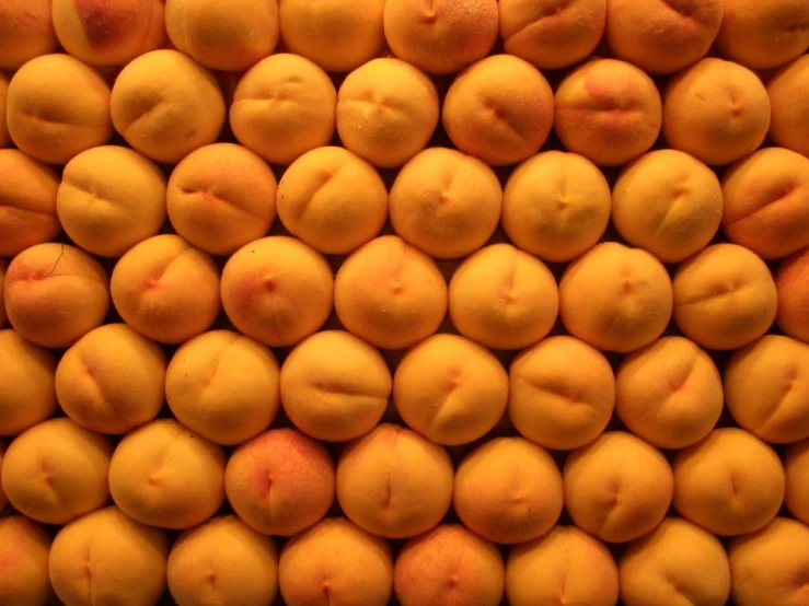 closeup of peaches piled to form an abstract backdrop