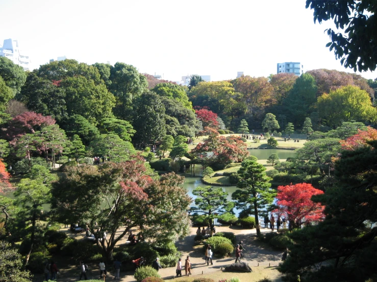 a large park with trees in the middle