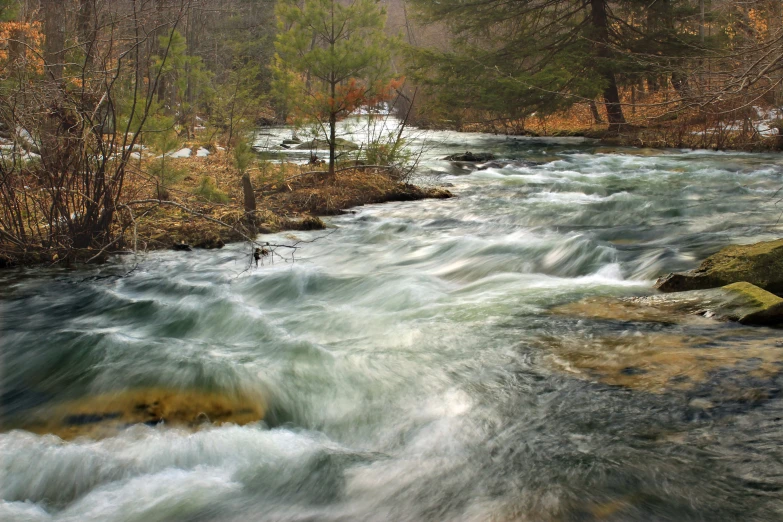 there is a very large stream flowing through the woods