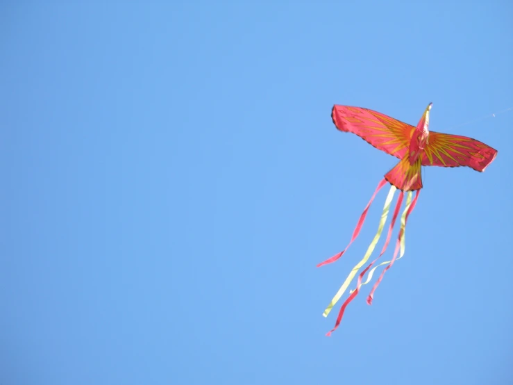 a kite in the sky is flying high