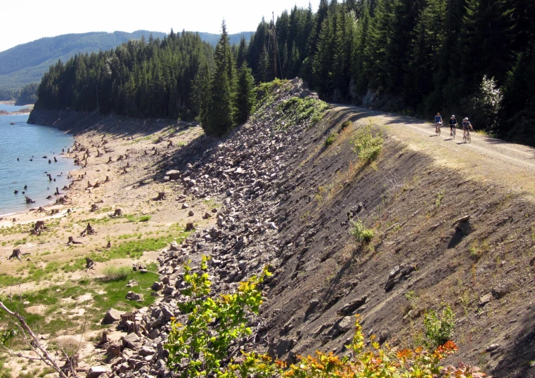 two people are riding bikes down the trail