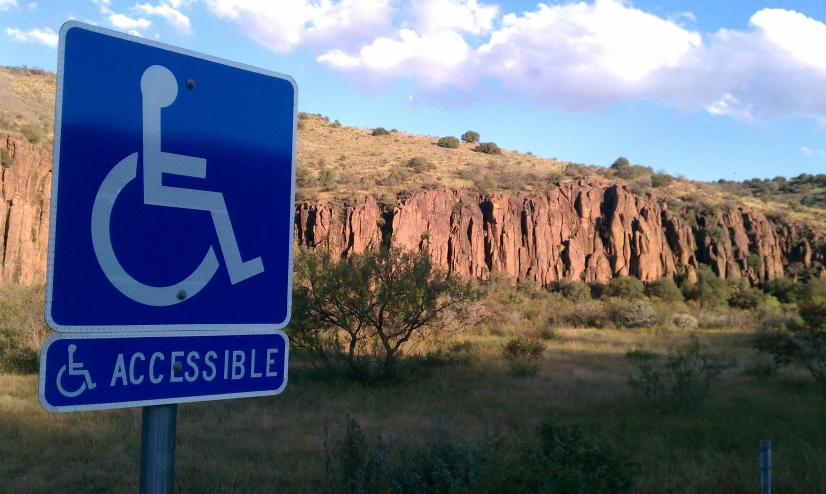 a handicapped sign in the middle of a grassy field