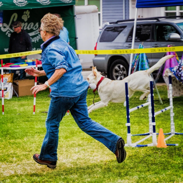 the dog is running to find a ball