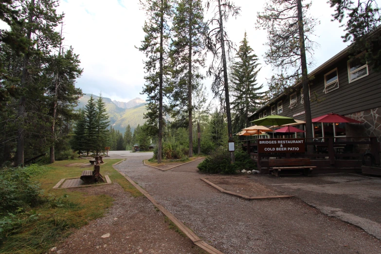 an empty road in the woods with trees and a picnic area