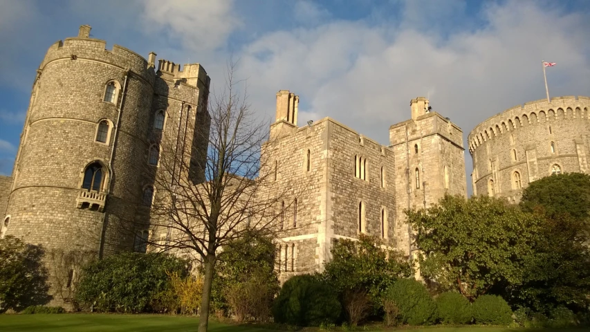 large castle with a tree in front of it