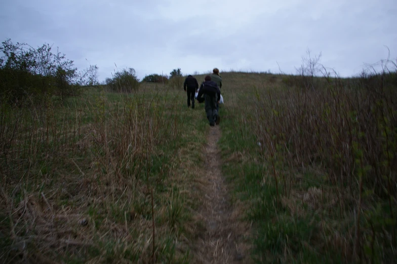 a couple of people walk down a path on a hill