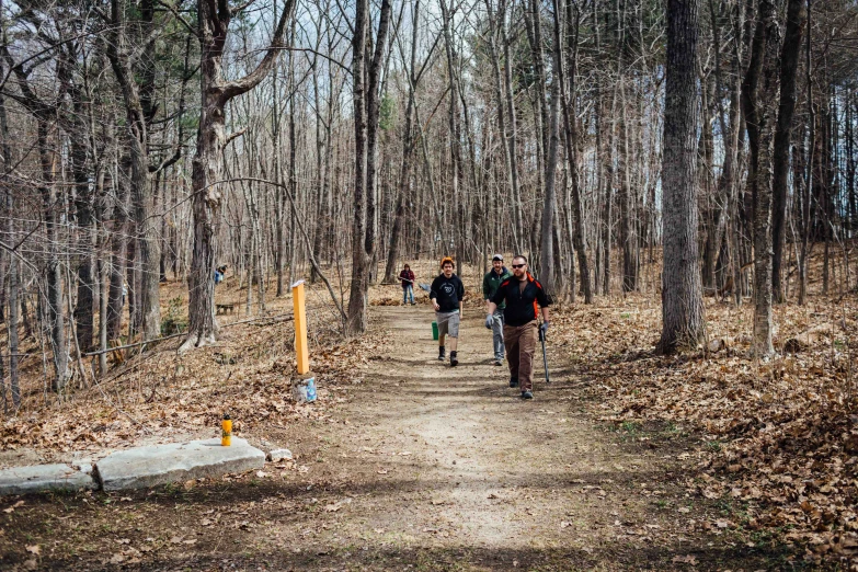 a trail of people walking up to some trees