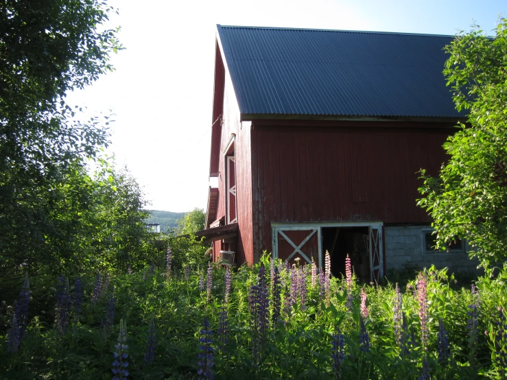an old barn sitting in a green grassy field