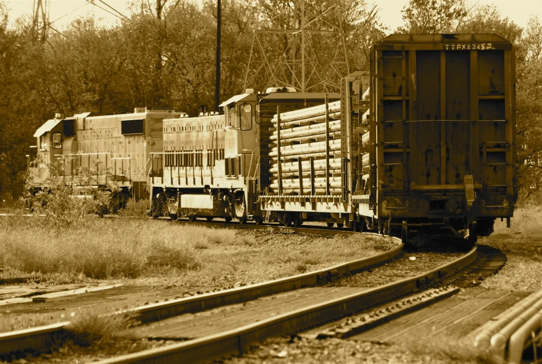 two freight train cars moving on tracks through the woods