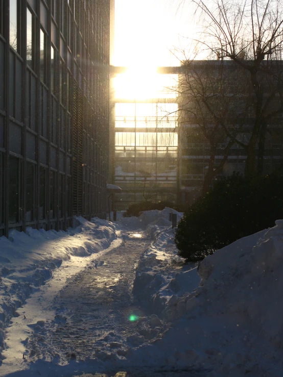 the view of an alley from another building towards the sun