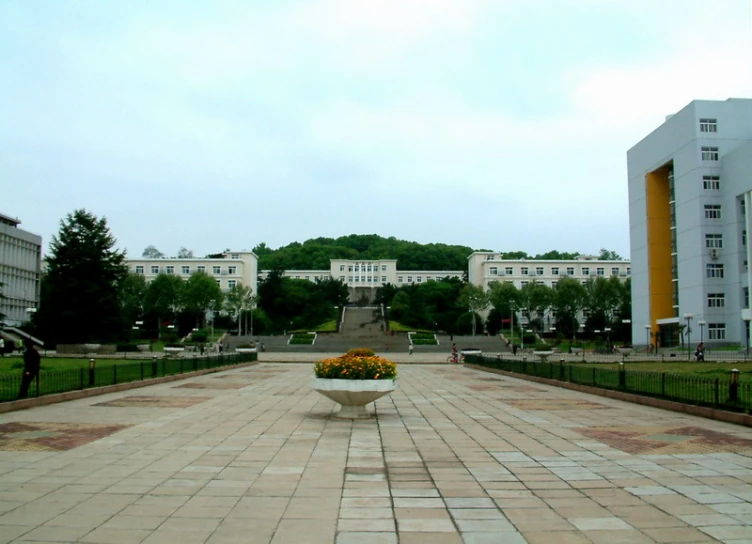 the courtyard of a building with a plant in a large vase