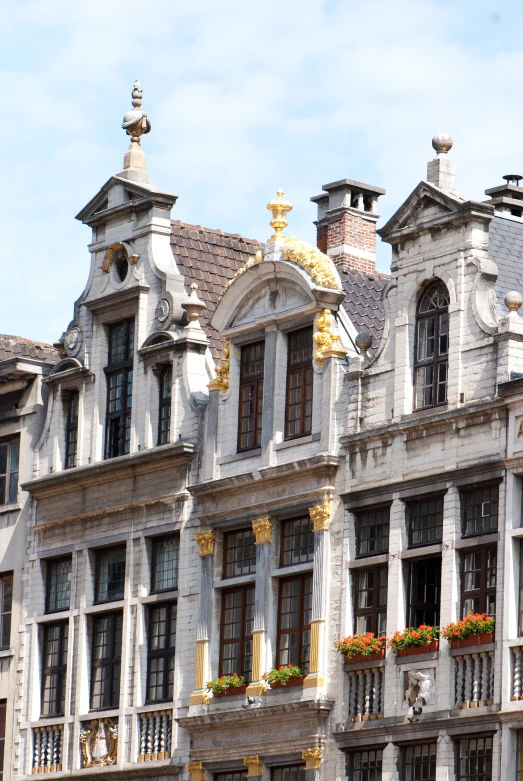 a building with many windows, plants and flower boxes on the top