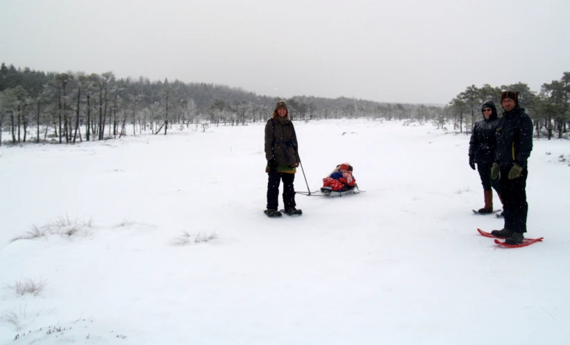 a family out skiing in the snow, one on a sled