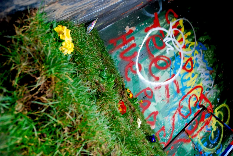 there are graffiti and flowers growing out of the grass